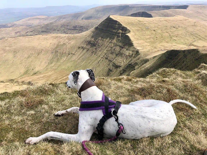 wales outdoors staff profile pics