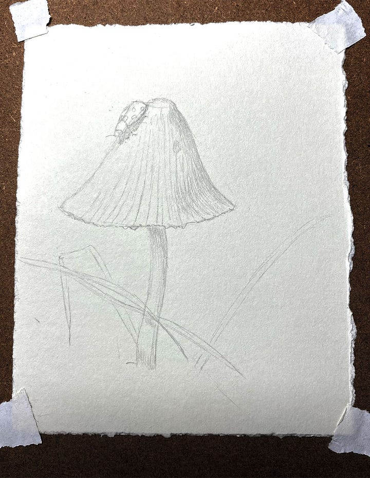 Two pencil sketches of a heron and a mushroom with ladybug