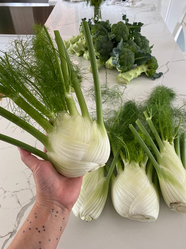 lettuces, fennel, and cucumbers