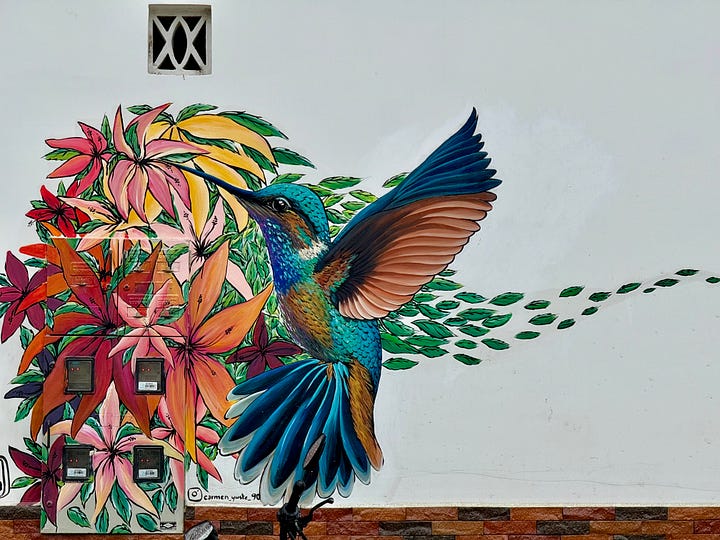 Pinturas de aves decorando los contadores eléctricos en San Agustín, Huila. Foto propia.