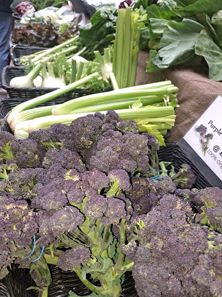 In season January; spider crabs, whelks, purple sprouting broccoli, stored apples, Jerusalem Artichokes