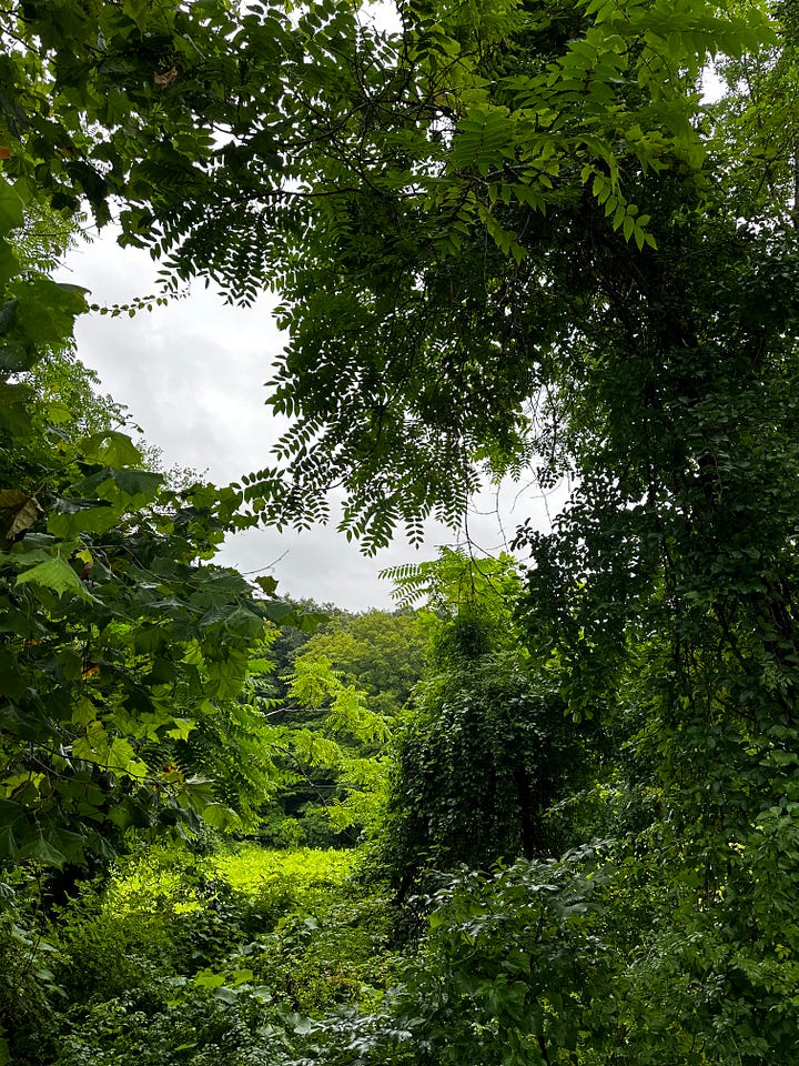Pictures of nature in Connecticut