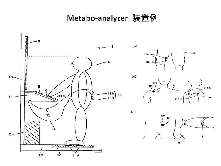 Instrument and Method for Analyzing Metabolic Condition of Living Body and Recording Medium