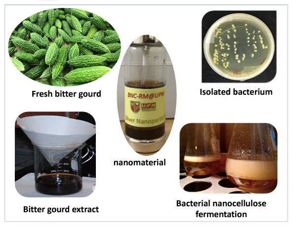 Green Composite Wound Dressing