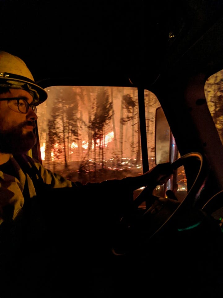 several photos of trees on fire