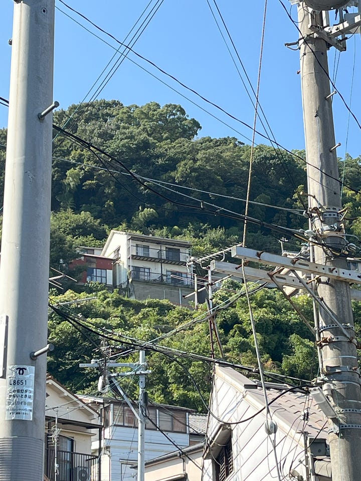 A picture of houses perched on the mountainsides framed by a web of electrity wires and concrete electricity poles. A picture of a dead mukade centipede in the bottom of a drainage channel.