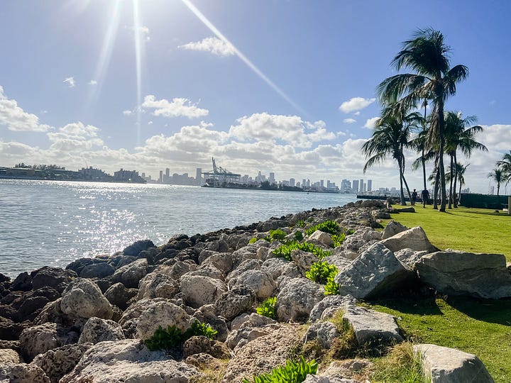 Mirror selfie full-body image of woman; image of a rocky coastline with palm trees in the foreground and a city skyline in the background.