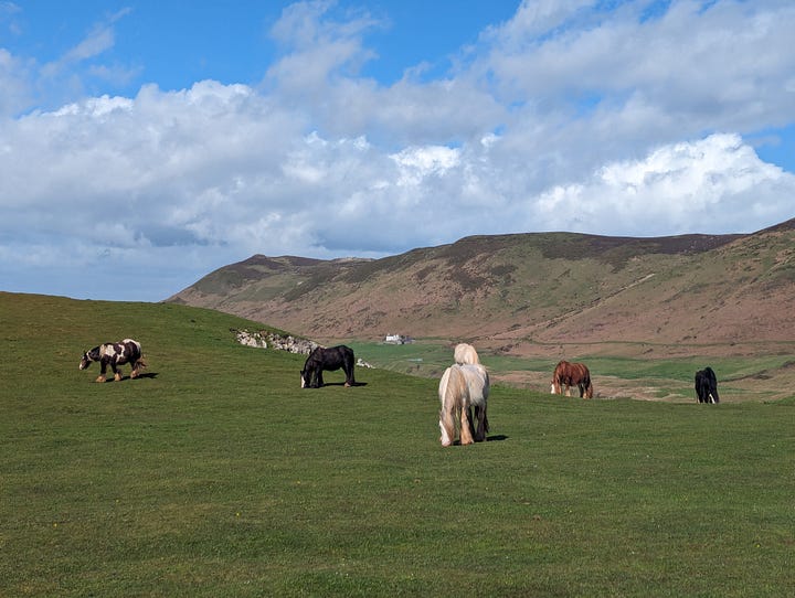 Images from The Gower