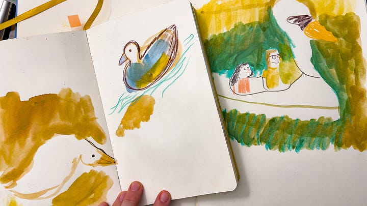 drawings of ducks by Beth Spencer