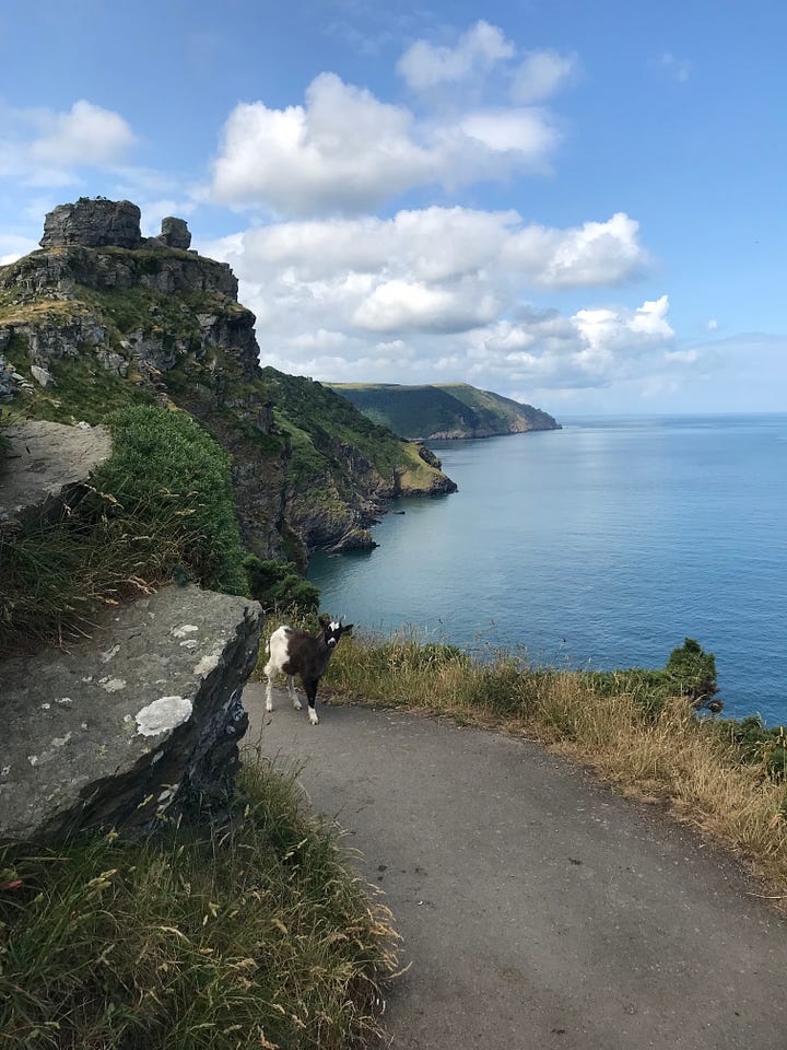 Images of coastline - one with Jamie with a backpack on in the foreground, one of the edge of a cliff with a goat in the foreground, one is a selfie with Jamie and his parents, and one with a bench in the foreground looking out to sea. 