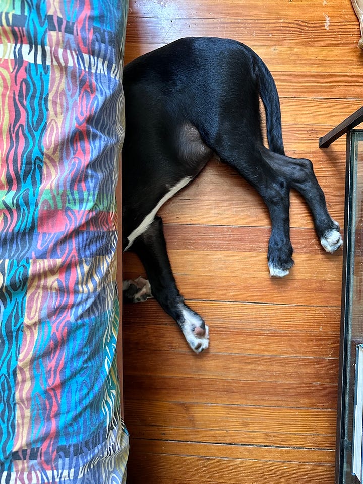 Sokka sleeping under the couch