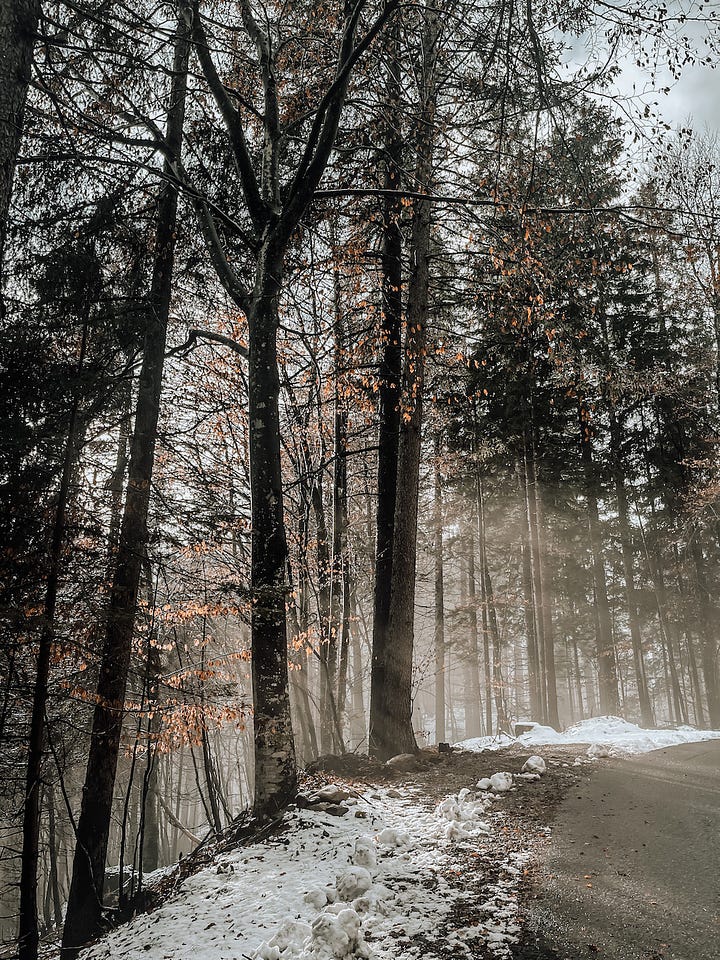 Winterwonderland in Salzburg 