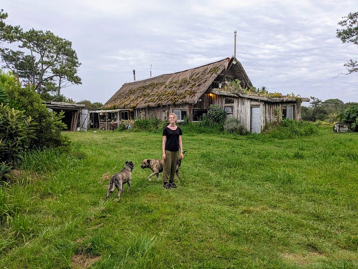 A cat lady stands outside her haunted house wearing £5 trousers purchased in desperation for the air conditioned Argentinian buses (left); A city man enjoys a hard-earned beer with his animal friends after surviving another day in the countryside (right).