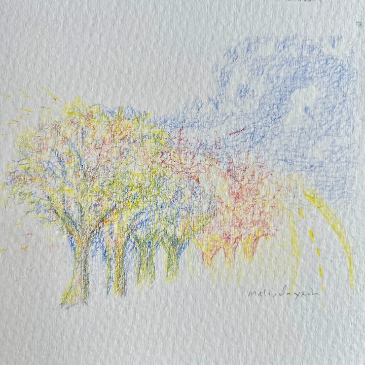 image: gallery of work in progress images of a colour pencil drawing of trees and sky in red, blue and yellow colour