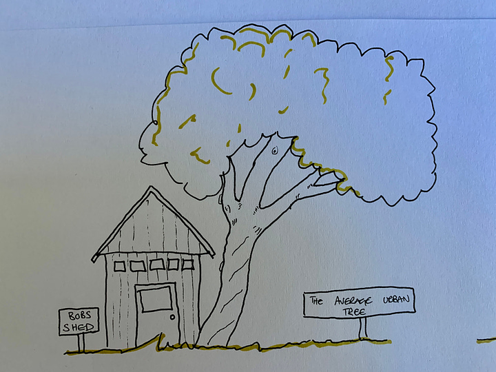 Torsion in trees has a reason, it makes them more stable. Give this little physical experiment a go and see in which way you feel more stable with the same degree of lean.