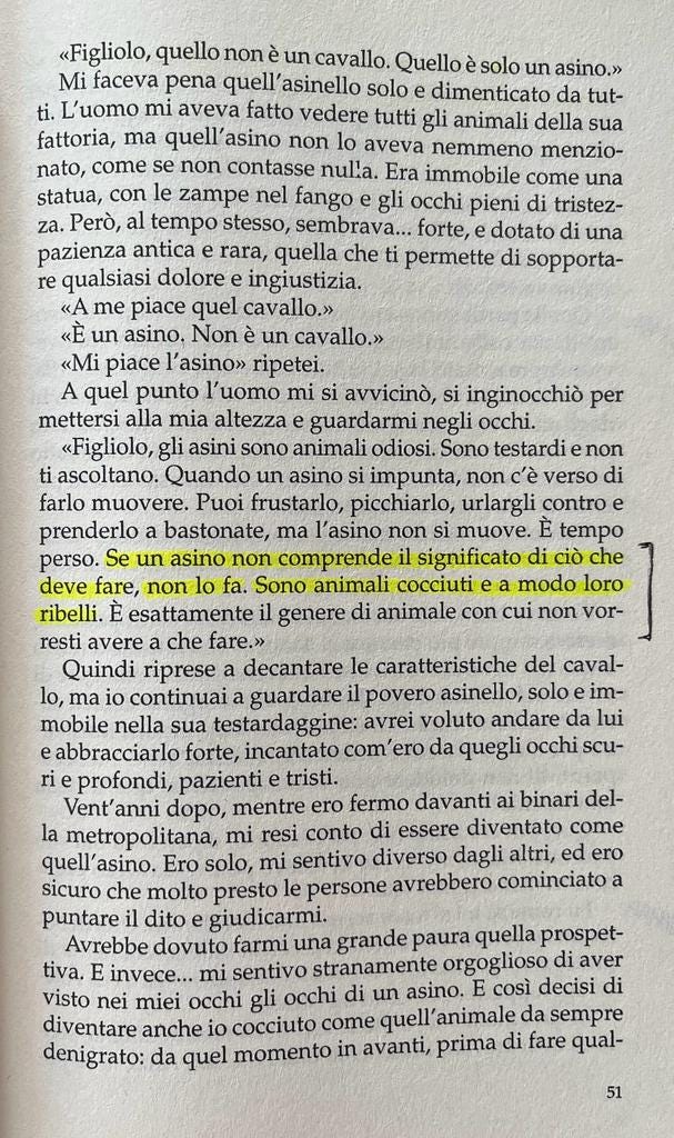 Descrizione dell'asino nel libro "Come una notte a Bali" di Gianluca Gotto