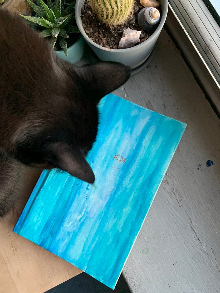 first image: a book covered in brown paper, covered in colorful stripes, on a white background, two: a blue painted book on a white background, the top of a black cat's head is visible