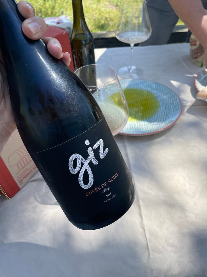 Baga vineyards Giz by Luis Gomes