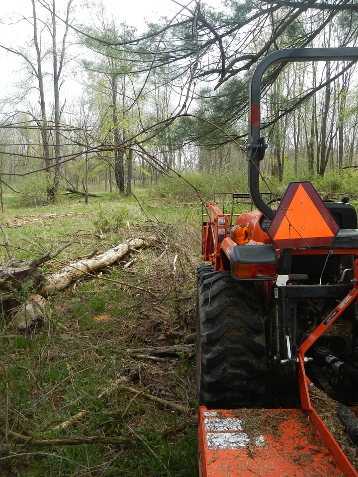 Sheep savana, before "cleanup"