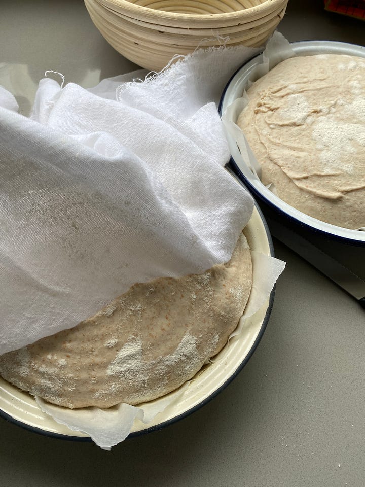 Sourdough in pie tins.