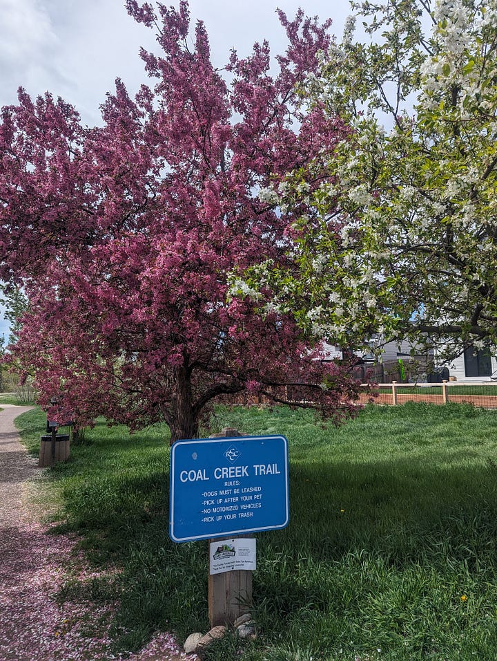 4 pictures of flowers and green grass