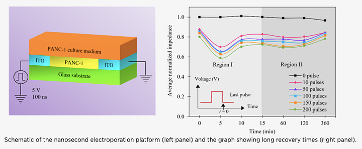 SUTD Researchers Leverage Novel Nanotechnology to Control Cells over Long Periods