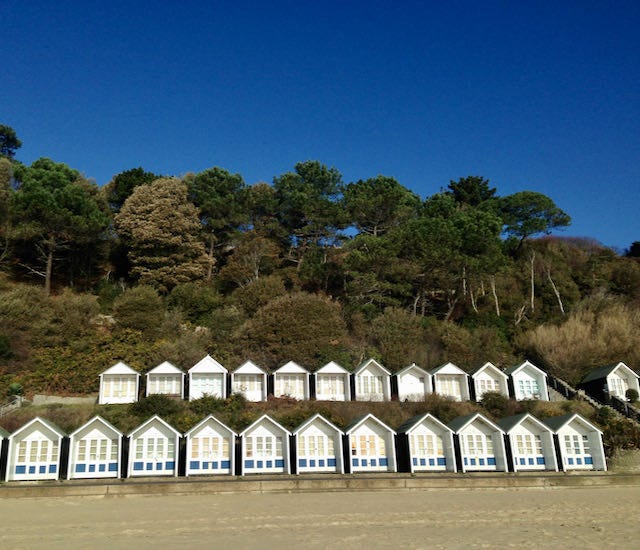 First image are two rows of white painted beach huts againat a backdrop of trees and cliffs. Gold sand in front of them. The image on the right is Bella, a yellow labrador shaking water off her, calm blue sea behind her