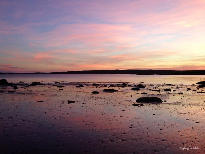 A pair of sunrises, one in warm pink, the second in cool violet.