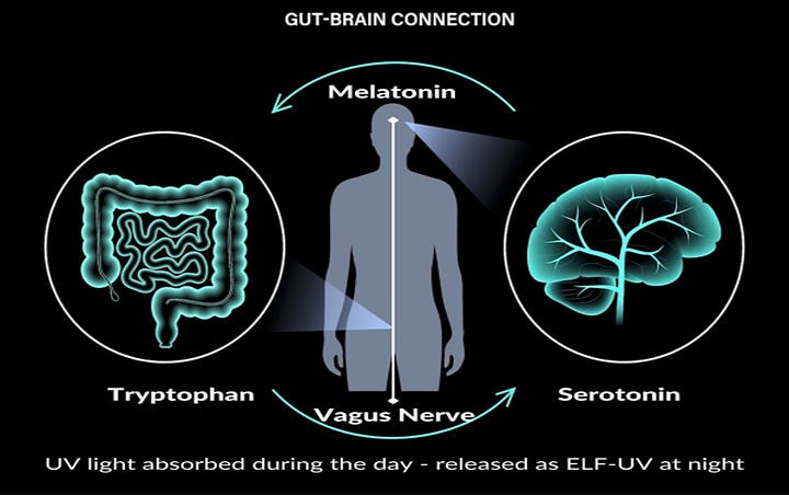 How we regenerate: Human DC battery regeneration using DHA