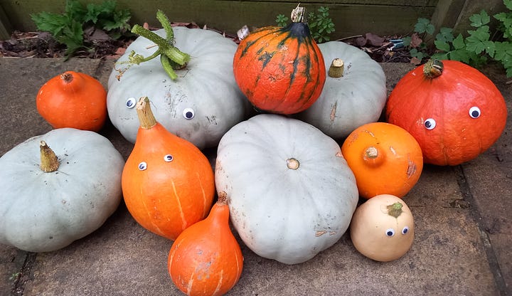 Red Kuri squash and crown prince squash; a pie and tea bread