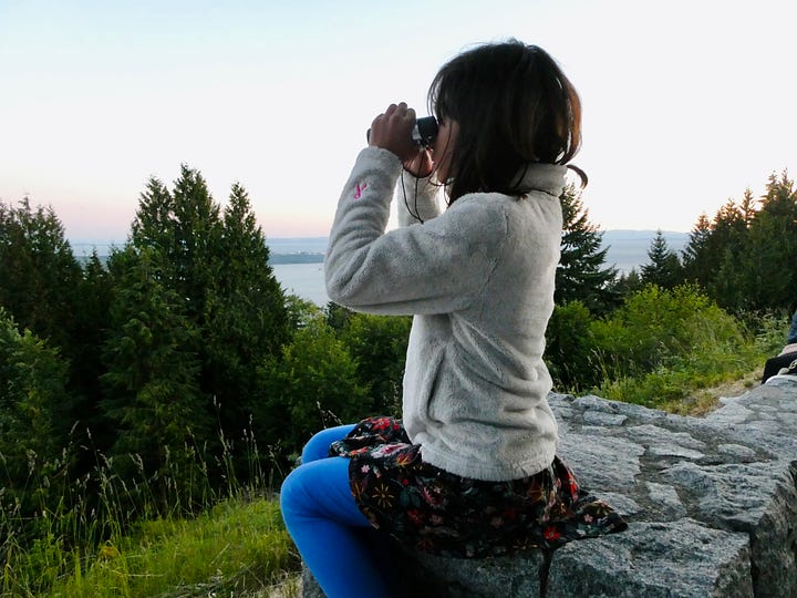 Left: trees in foreground and sea and Vancouver in background. Right: Girl looking through binoculars.