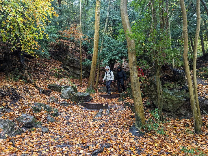 walking in the wye valley near symmonds yat