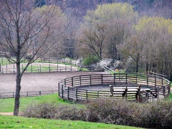 Western Riding Italy