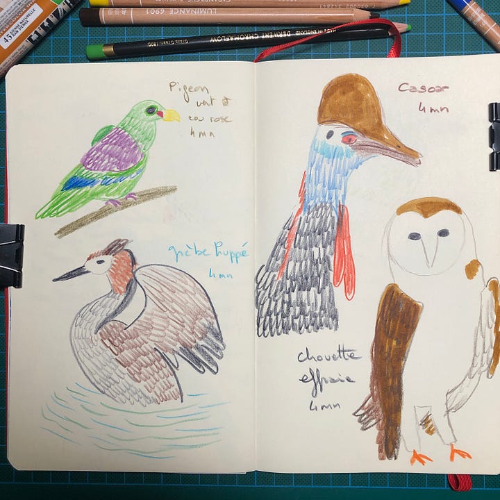 Photos des doubles pages de mon sketchbook où j’ai dessiné les oiseaux aux crayons de couleurs, crayon graphite et parfois un peu de marqueurs aquarelle. A côté de chaque dessin est noté le nom de l’oiseau et le temps consacré au dessin.