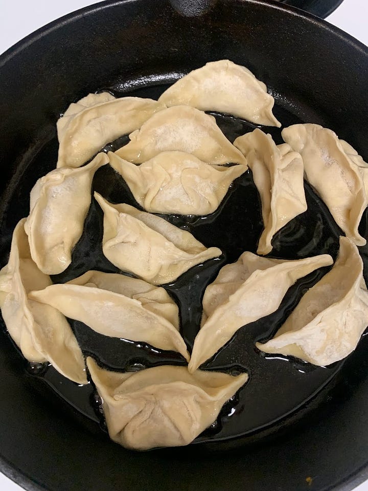 Dumpling dough; rolled dumpling skins, filling and folding and frying the dumplings