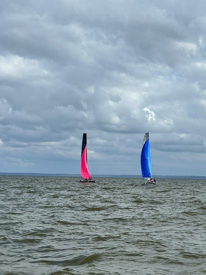 Catamaran sailboats on the bay