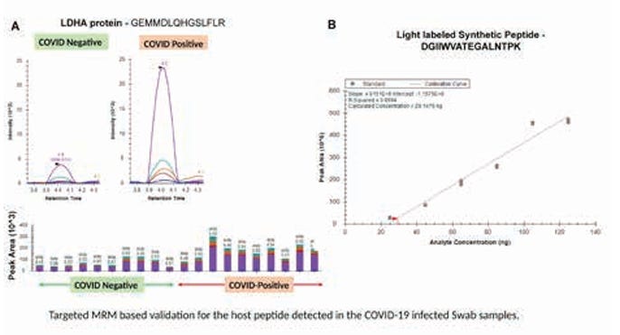 Peptide-based Test for Prognosis of SARSCoV-2 Infection