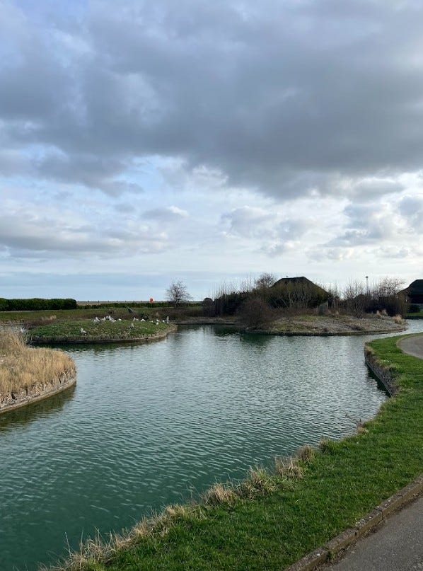 The former Winter Gardens, due for renovation, and new waterways Pic: The Lead