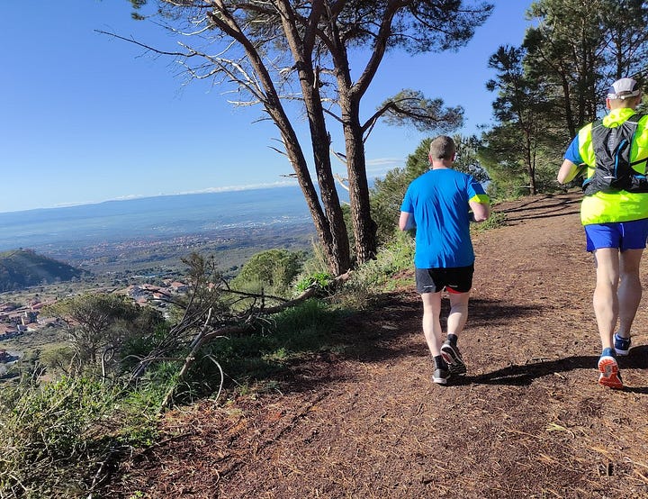 Pictures taken on the run, showing narrow paths, pine-strewn ground and views over the valley