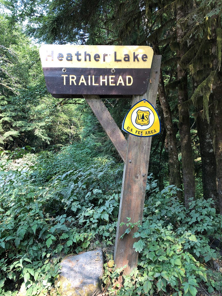 Photo #1 - the Heather Lake Trailhead sign. Photo #2 a picture of a boardwalk bridge on the trail. Photo #3 looking up at one of the large evergreen trees. Photo #4 a view of the lake with evergreen trees and red berries.