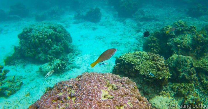 Seven Commandos Beach and snorkeling near El Nido, Palawan, Philippines