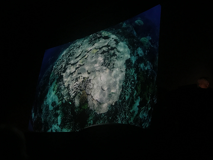 Photographs of Opal Reef in Australia taken a decade apart by David Doubilet & Jennifer Hayes