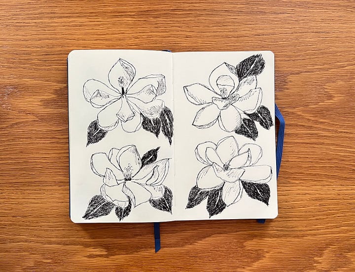 Black and white magnolia sketches in a sketchbook created with a black ink pen