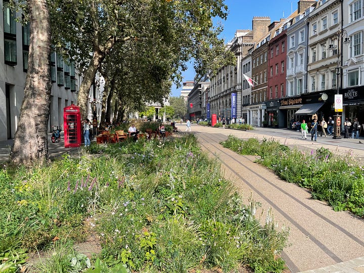 Pictures of the Strand Aldwych scheme. Many of the pictures are of pedestrian spaces, with extensive planting throughout and trees. People are walking in the street, and sitting at provided benches. There is one picture with someone on a bicycle, and another picture with my outside the disused Strand station