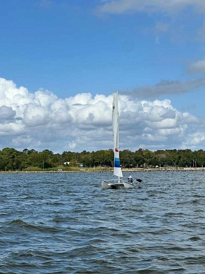 Catamaran sailboats on the bay