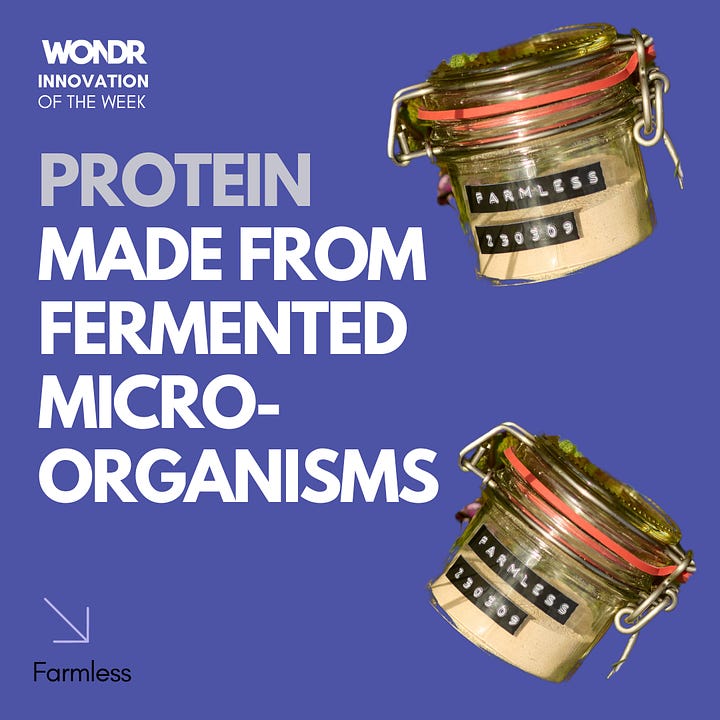 Protein made from fermented micro-organisms