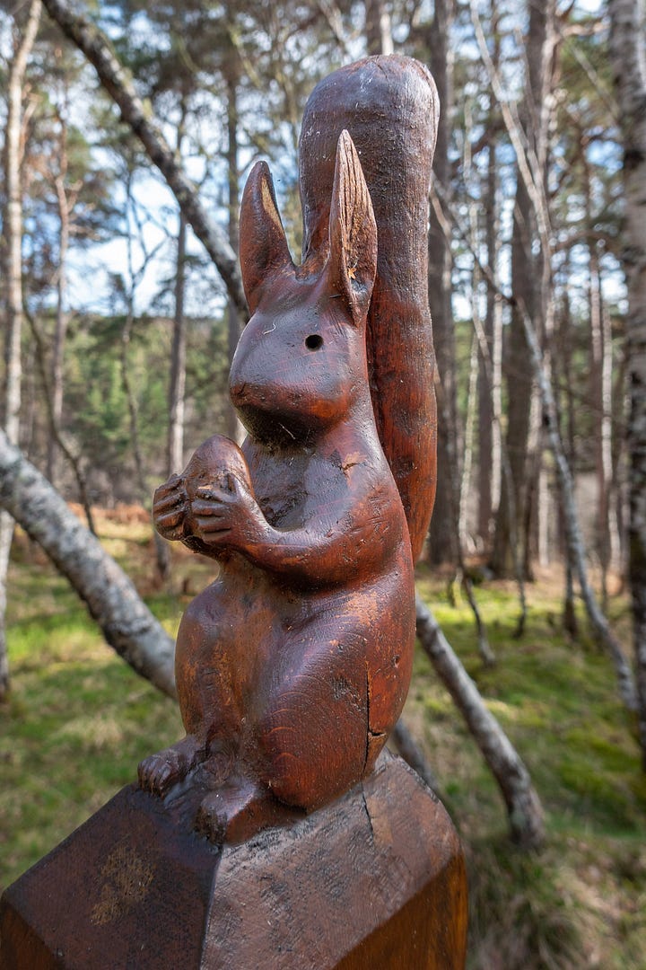 Migdale rock and loch from the shore and a bench above, the Spinningdale viewpoint and a red squirrel carving on a seat © Felicity Martin