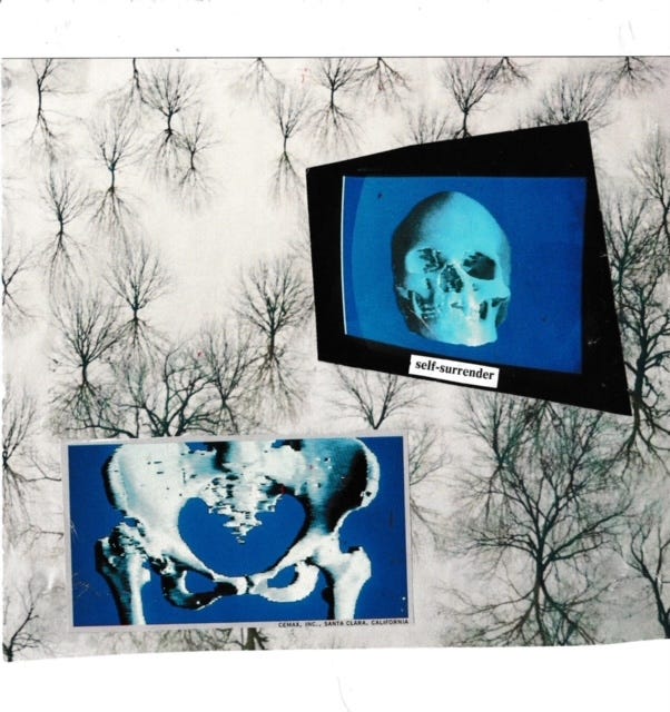 A colorful collage, a collage of nature that reads "I'm Not Here Come Back Later", a collage on black and white newspaper with the phrase "After years of the End I can now name wonder", and a collage of skeleton bones. 