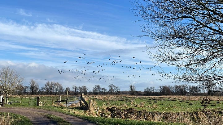 First image shows a stunning view of the hike with birds soaring through the blue sky, and the second image shows the route on the map