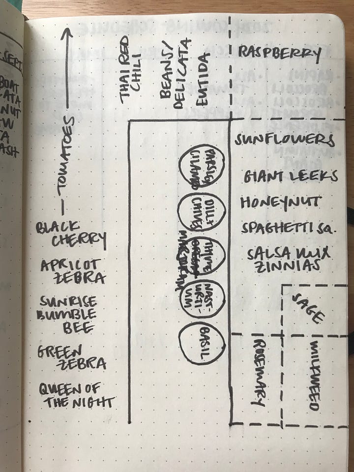 Pictures of garden plans from my journal